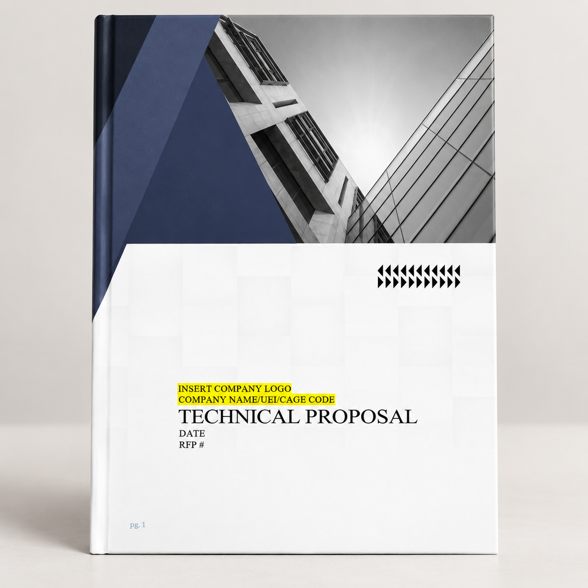 Government Contract Proposal Template